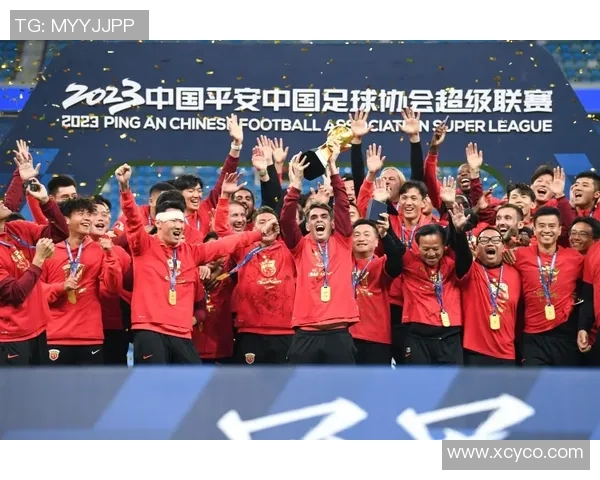 上海网球队在联赛中的团队协作表现分析与启示