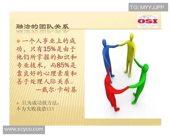 上海羽毛球队团队协作的独特优势与其他队伍的比较分析